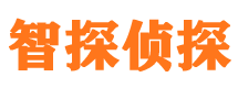 浮梁外遇调查取证